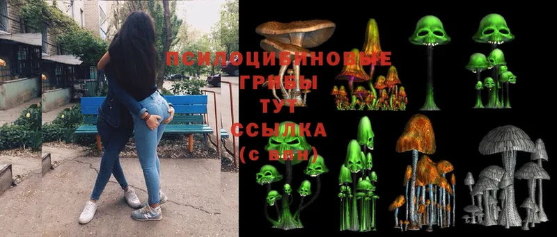 гидра маркетплейс  Заречный  Галлюциногенные грибы Magic Shrooms 